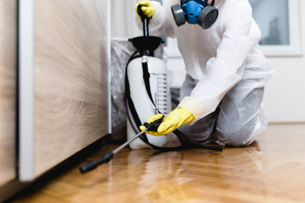 Best Wasp Removal Services  in Aurora, MN