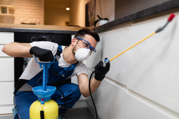Best Affordable Pest Control Services  in Aurora, MN