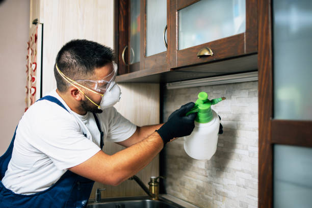 Wildlife Control Services in Aurora, MN