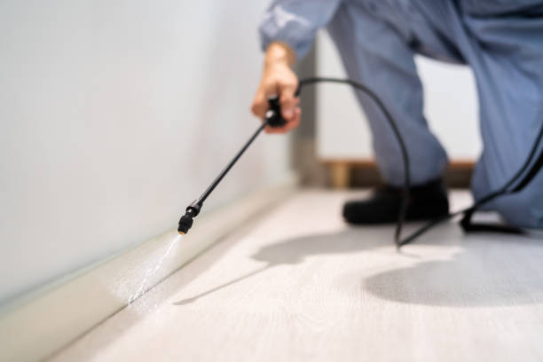 Professional Pest Control in Aurora, MN
