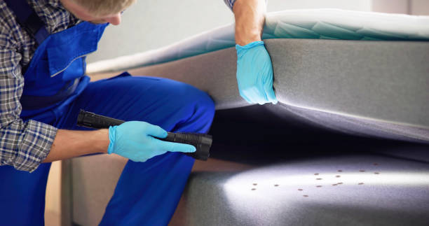 Best Residential Pest Control  in Aurora, MN