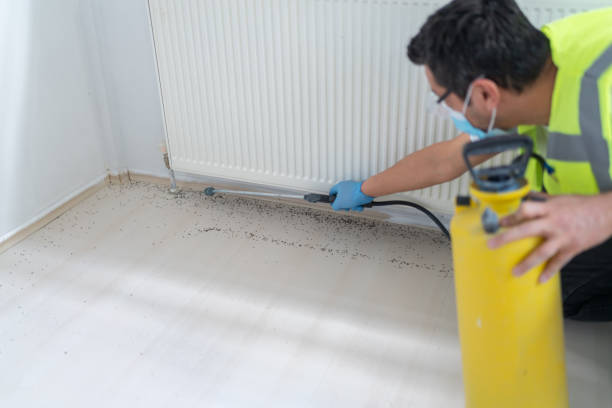 Best Pest Control Near Me  in Aurora, MN