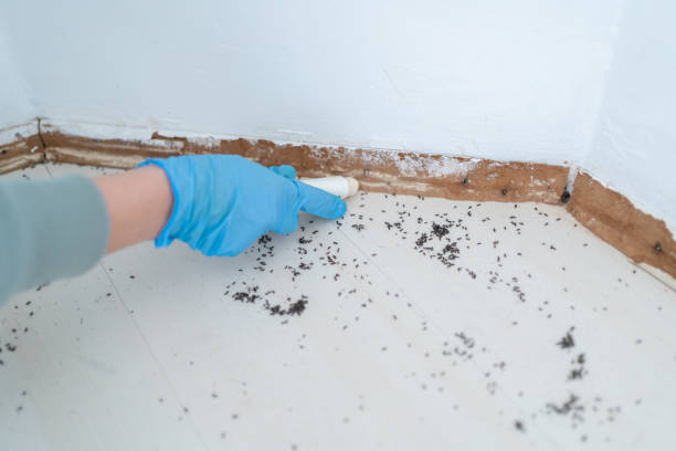 Best Exterminator Services  in Aurora, MN