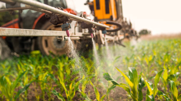 Best Pest Control for Businesses  in Aurora, MN